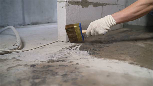 SJ Waterproofing Pros Basement Waterproofing coverage map for Elsie, MI and surrounding area